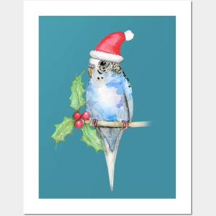 Blue spotted budgerigar Christmas style Posters and Art